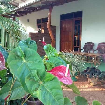 Amaya River Side Homestay Sigiriya Eksteriør billede