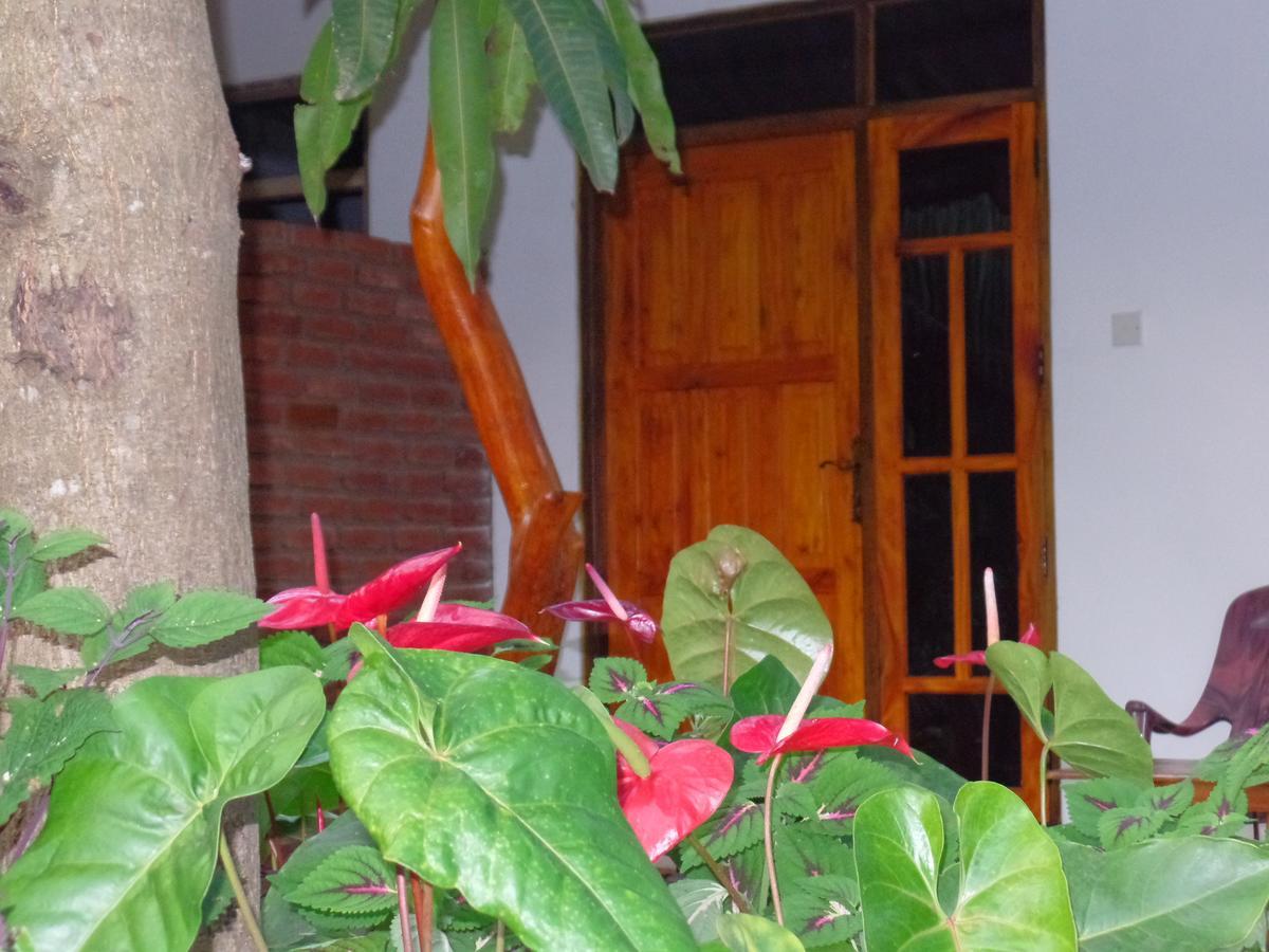 Amaya River Side Homestay Sigiriya Eksteriør billede