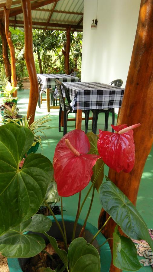 Amaya River Side Homestay Sigiriya Eksteriør billede
