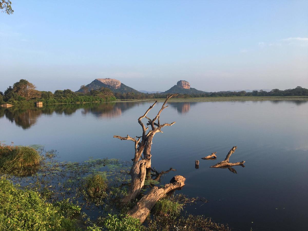 Amaya River Side Homestay Sigiriya Eksteriør billede