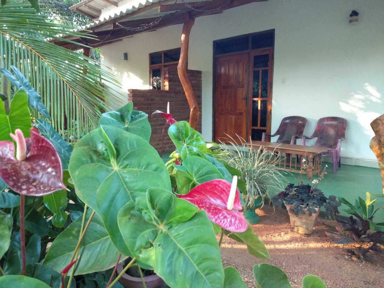 Amaya River Side Homestay Sigiriya Eksteriør billede